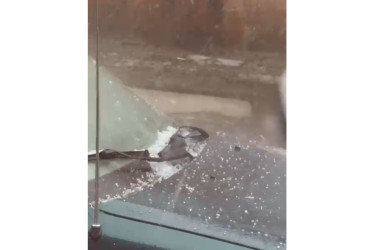 Caída de granizo en el barrio Sáenz.