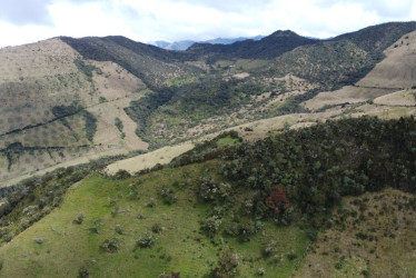 La Alcaldía de Manizales lidera la compra de predios para conservación en la parte alta de la reserva Río Blanco, 