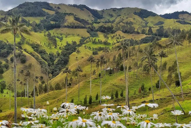 El paseo soñado exige prevención. Cuídese de los fraudes, un peligro oculto al contratar un viaje en vacaciones. Cinco expertos ofrecen consejos. También recomiendan disfrutar estos destinos en el Eje Cafetero. En la foto, el valle de la Samaria, en Salamina (Caldas).