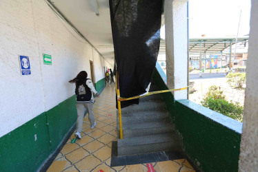 La presencia de palomas en colegio causaron problemas de salubridad y de infraestructura. 