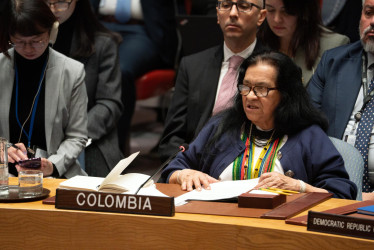 Leonor Zalabata, representante permanente de Colombia ante las Naciones Unidas.