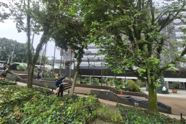 Operarios de Emas estaban ayer en el parque Ernesto Gutiérrez realizando los cortes necesarios a las ramas de los árboles para la seguridad de los transeúntes.