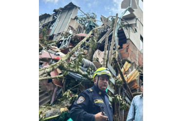 El árbol no se precipitó por las lluvias de la jornada, lo estaban cortando.