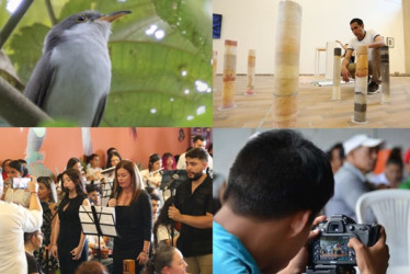 Conozca los datos sobre la oferta cultural en la ciudad que entrega Manizales Cómo Vamos.