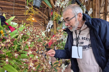 La XX Exposición Nacional de Orquídeas estará hasta el domingo 1 de marzo de 9:00 a.m. a 5:00 p.m. y la entrada tiene un costo de $15 mil.