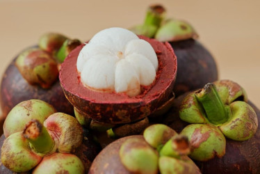 La SIC declaró la Denominación de Origen del Mangostino de Mariquita, fruto del Tolima con calidad y reputación únicas.