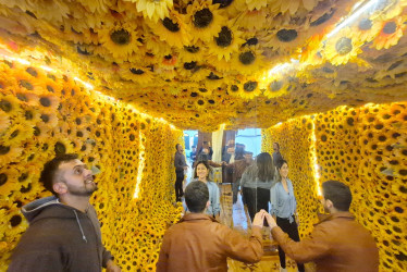 Van Gogh se siente: Así viven los manizaleños la exposición