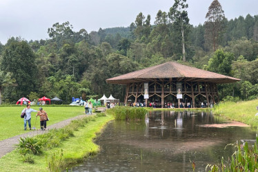 Regresa la Exposición Nacional de Orquídeas de Manizales
