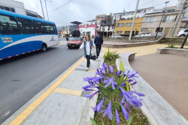  La Corporación Cívica de Caldas (CCC) plantea dudas sobre la tala de cedros en obras del Bulevar de San Jorge