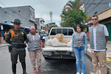 Según las autoridades, la carne incautada no contaba con condiciones suficientes para su comercialización.