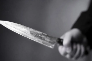 Tello intimidó al administrador de la finca en un intento de hurtar elementos de una ramada.