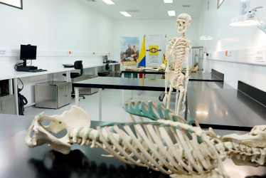 El laboratorio de Antropología forense inaugurado en Pereira tendrá impacto en Risaralda, Caldas, Quindío y Valle del Cauca, en la búsqueda de personas desaparecidas