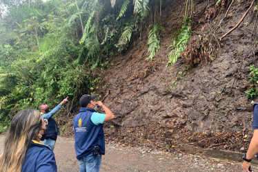 Las lluvias de febrero han provocado deslizamientos, caídas de árboles y daños en viviendas en varios municipios del Quindío.