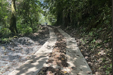 Intervenciones viales beneficiarán a comunidades rurales y facilitarán la movilidad de caficultores en el municipio.
