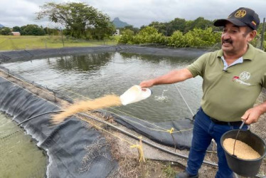 Óscar Alberto Cardona Rivera, egresado del Sena y beneficiario del Fondo Emprender, lidera un proyecto piscícola en Guarinocito, centro poblado en La Dorada.