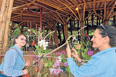 Manizales abrió el calendario nacional, luego seguirán las exposiciones de Popayán, Buga, Quindío, Medellín, Pereira, Bogotá y Cali. Ruth Escobar de Neira y Sandra Marín de Manizales se llevaron su recuerdo fotográfico.