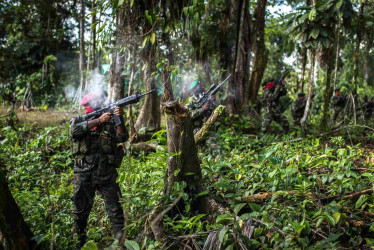 Cinco menores rescatados en la selva colombiana por el Ejercito, huían del reclutamiento de las Farc
