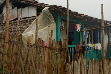 Marisol es una madre cabeza de familia que pide ayuda para mejorar su casa, que está a punto de derrumbarse en el Eje Cafetero. 12 paisanos acuden al rescate desde Europa. Así puede apoyar la causa.