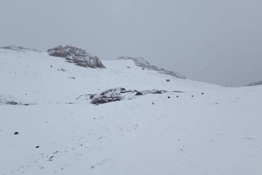 PNN Los nevados 