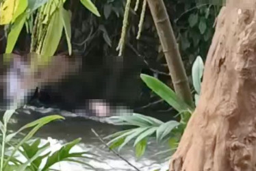 En el río Otún de Pereira encontraron cuerpo sin vida de una persona en la tarde del domingo 1 de marzo 