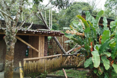El bioparque Ukumarí estará cerrado hoy 5 de marzo debido a afectaciones en su interior provocadas por las lluvias que cayeron ayer 4 de marzo en Cerritos 