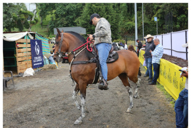 Algunos jinetes entrenaban este miércoles (18 de marzo) con sus caballos para prepararse para la competencia.