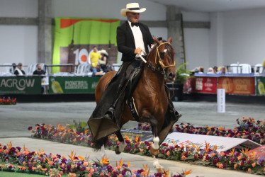  En el país solo existen tres ferias equinas doble A y se realizan en Cali, Medellín y en Manizales.
