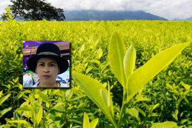 Video: la candidata caldense a la Cámara por la circunscripción indígena Magnolia Morales Zamora (Partido Indígena Colombiano) quiere regular la hoja de coca y defender el acuerdo de paz.