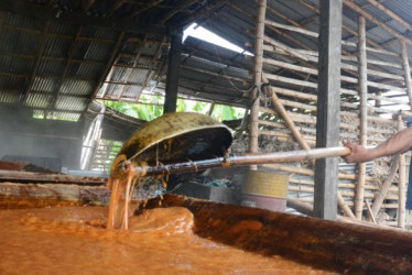 La víctima sufrió el accidente laboral en febrero pasado y su muerte se produjo el pasado domingo en Manizales.