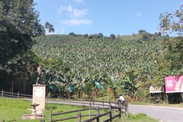 Foto I LA PATRIA  En un paraje del norte de Caldas hallaron, en la mañana de este domingo 15 de marzo del 21026, el cuerpo sin vida de un hombre.