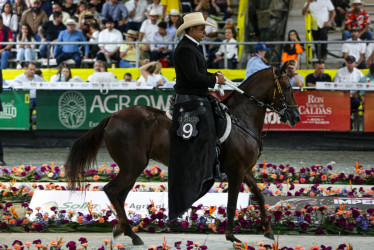 Este sábado las competidores fueron de Paso Fino Colombiano.