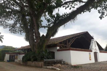 Semana Santa 2026: esta es la programación en la parroquia Santa Teresita del Niño Jesús de Santágueda, Caldas