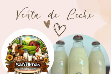 Leche en turismo Foto | Tomada de Facebook Alcaldía de Victoria | LA PATRIA