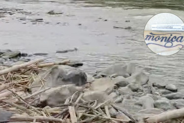 el cadáver presenta algunos tatuajes, los cuales podrían ser clave en el proceso de identificación. 