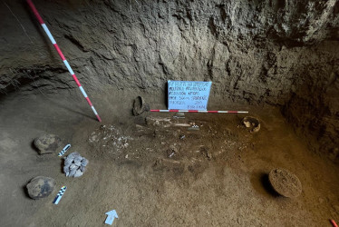 Durante las fases 1 y 2 del proyecto del hospital, se han registrado en total16.500 piezas arqueológicas, y alrededor de 100 restos de individuos humanos.