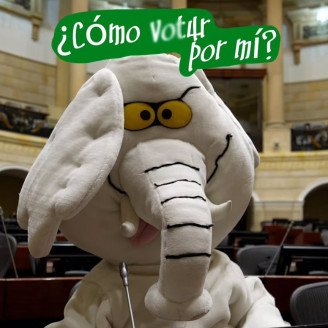 El influencer @elefantescol anunció su campaña para llegar al Senado. Es conocido por sus videos denunciando obras críticas y con retrasos.