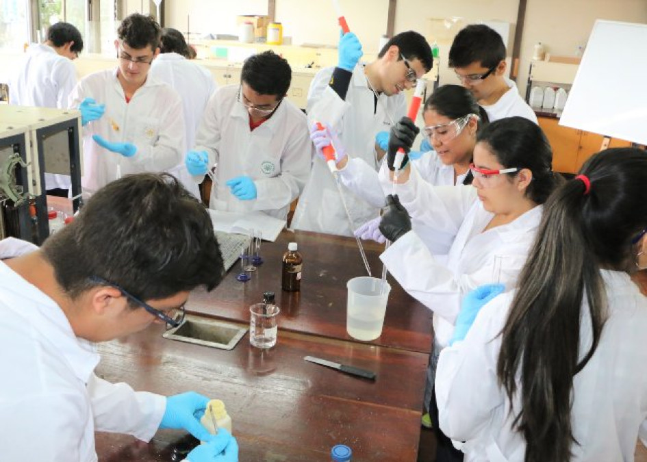 Los estudiantes investigadores pueden acceder a becas de movilidad.