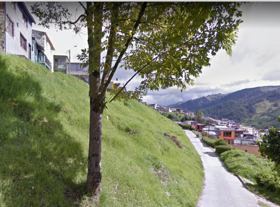 Foto| Google maps| LA PATRIA Zona donde ocurrieron los hechos.