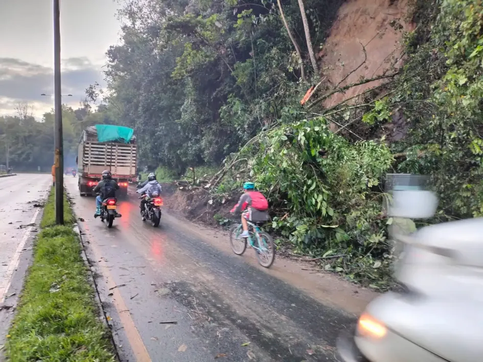 El desprendimiento de capa vegetal y rocas sobre la vía.