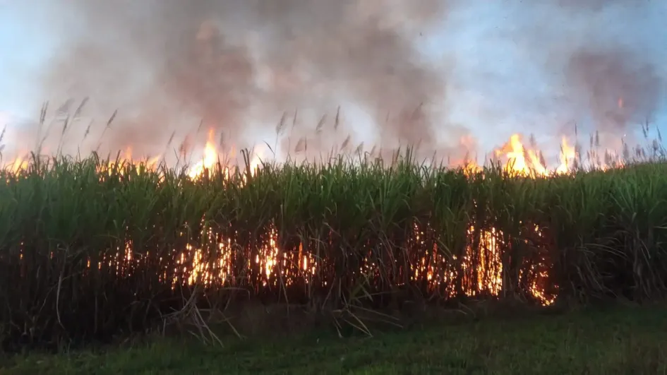 Este es uno de los dos incendios que se presentaron ayer en Viterbo. 