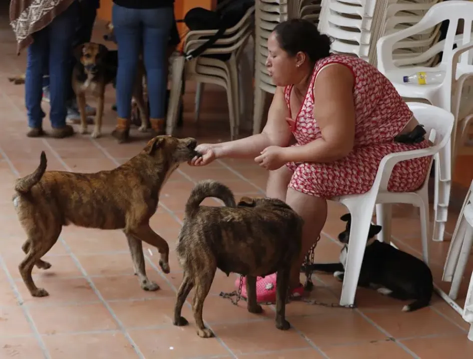 Ana Cristina Martínez juega con sus perros. 