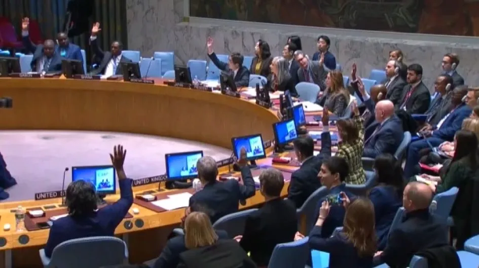 Consejo de Seguridad de la ONU