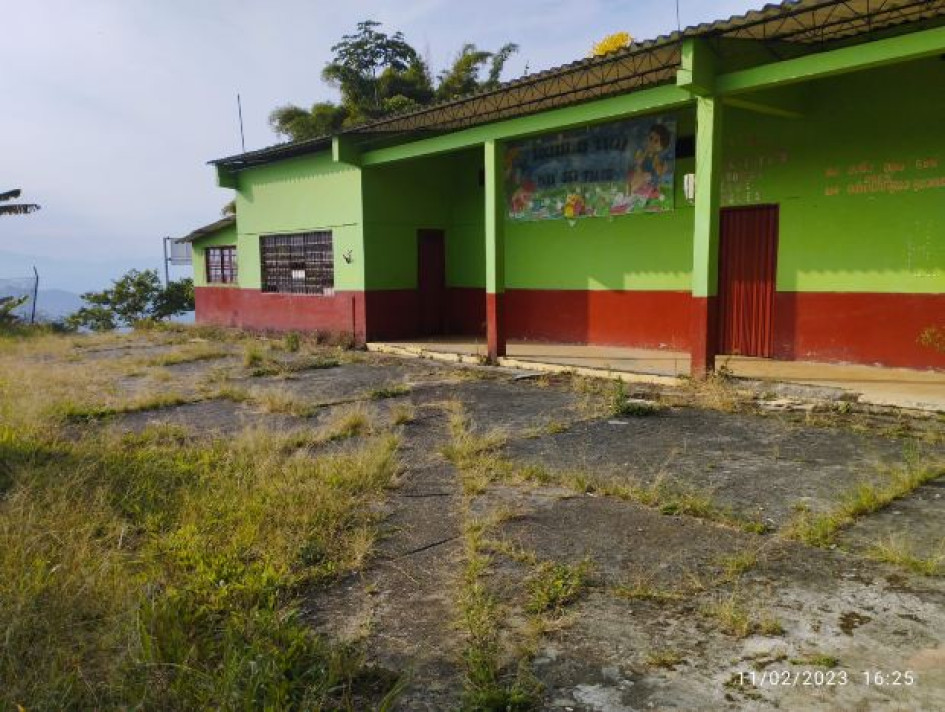 La escuela Peñoles, del colegio Viboral, pertenece a Aguadas. Queda al borde de la carretera que comunica con Pácora.