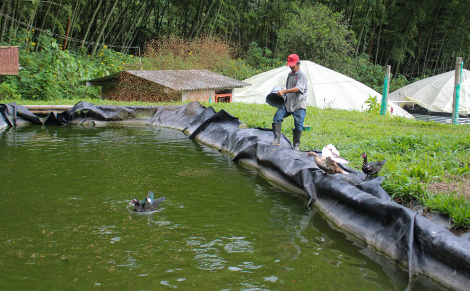 piscicultura en Manizales