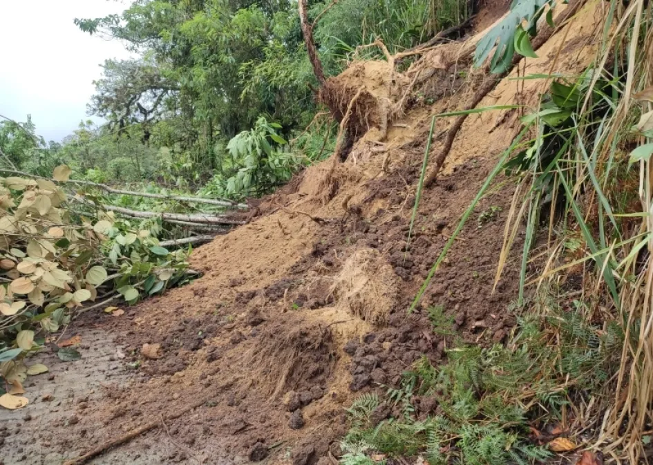 Este es el deslizamiento que cayó en Filadelfia.