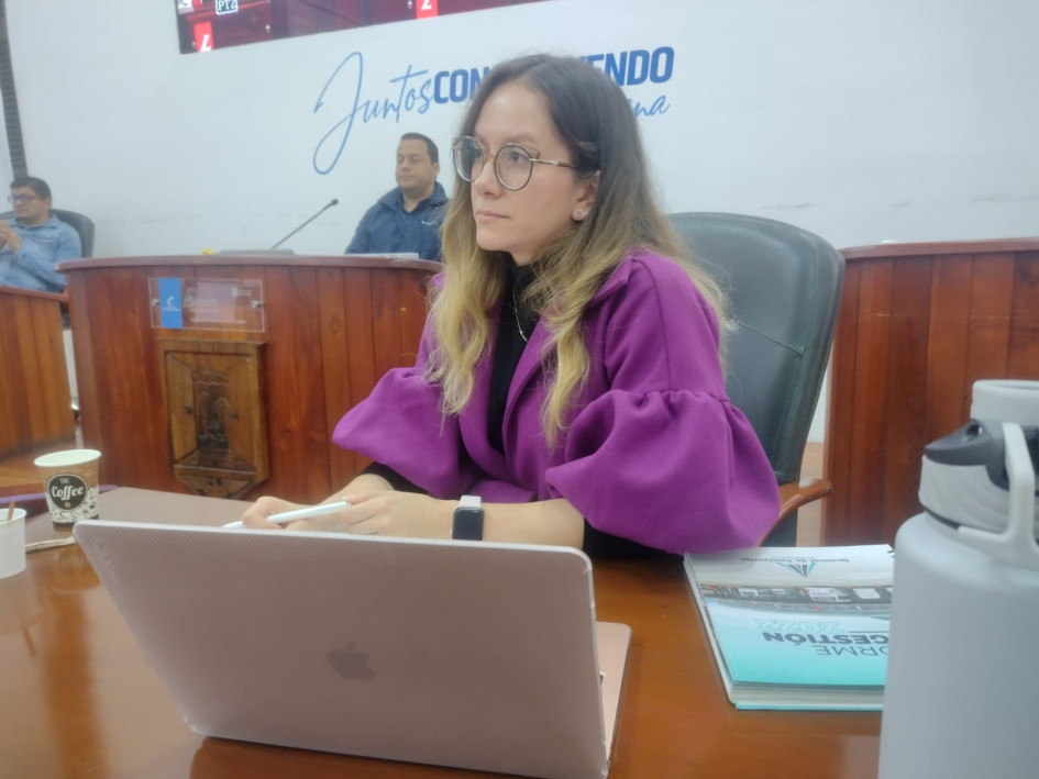 La Gerencia de la Terminal de Transporte presentó su informe ayer en el Concejo de Manizales.
