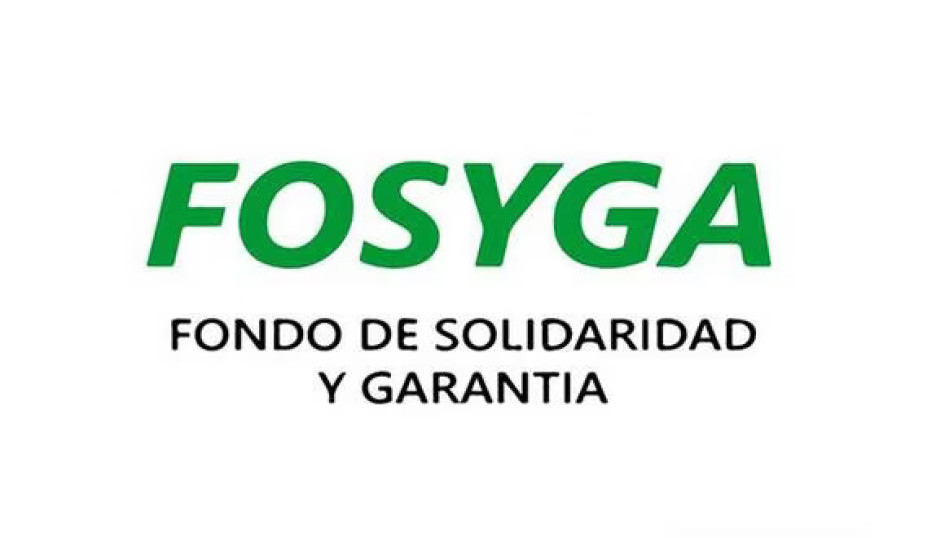 Logo del Fosyga