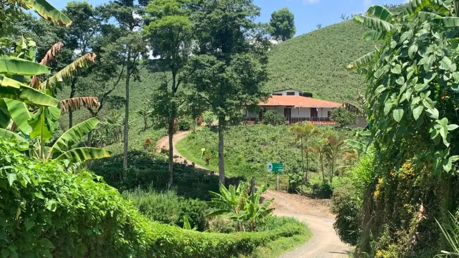 San Pedro conserva edificaciones en bahareque muy antiguas y de gran belleza