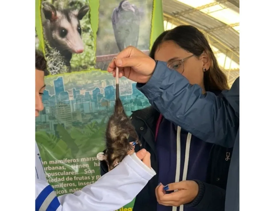 Los estudiantes se familiarizaron con el mamífero.