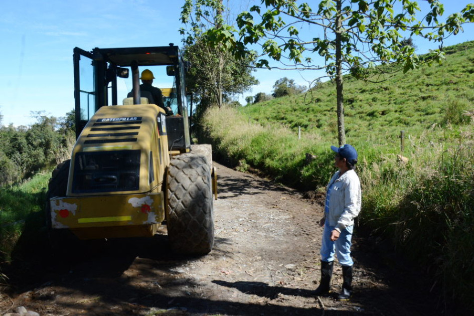 sector Los Alpes, vereda Playa Larga